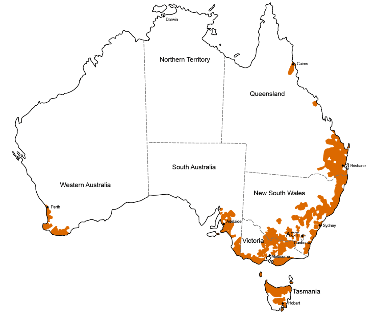 dairy-australia-cattle-herd