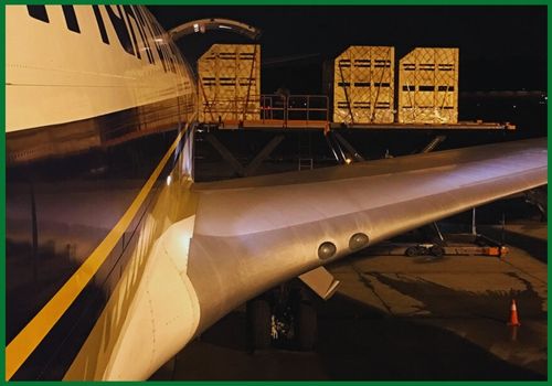 Livestock-air-freight