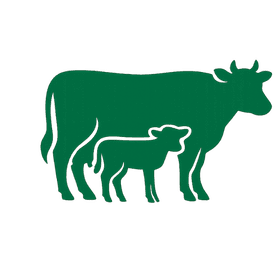 Livestock exported for breeding and production purposes