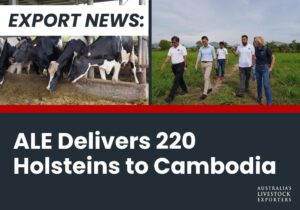 ALE Delivers 220 Holsteins to Cambodia