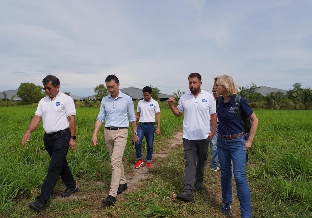 Kirisu Farm and Australian delegation inspecting fodder paddocks at Cambodia's largest dairy in Takeo province